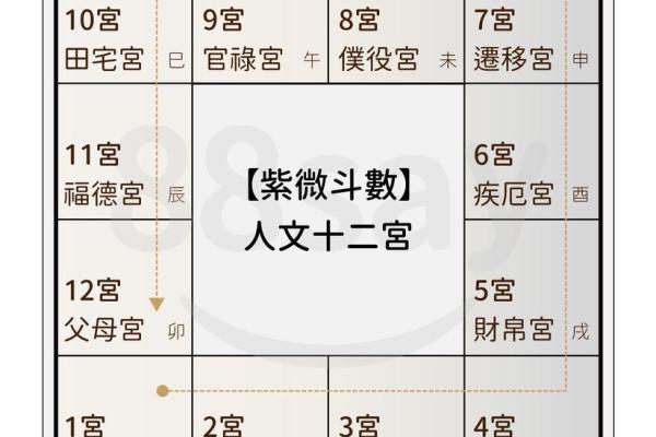 如何看懂自己的命盘十二宫,星盘12宫位代表含义