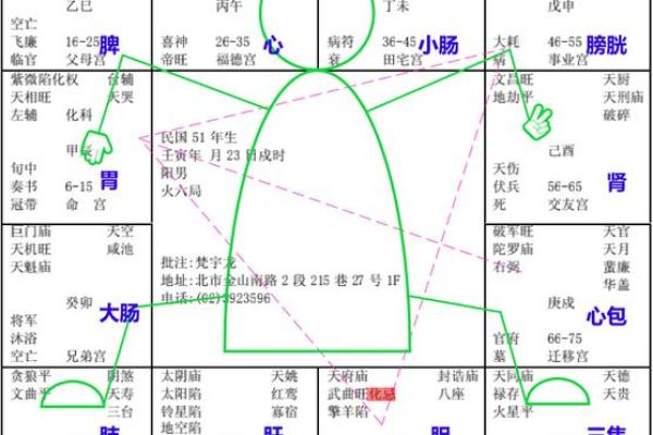 紫薇斗数子时怎么确定