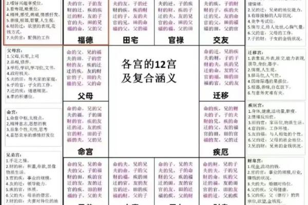 紫薇斗数群聊吧