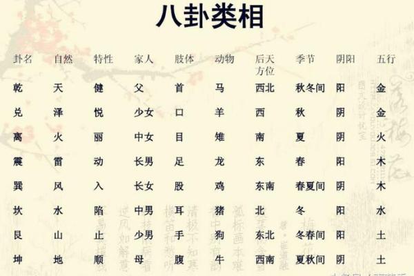 梅花易数怎么测出人的生辰八字