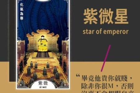 紫薇斗数权禄相逢