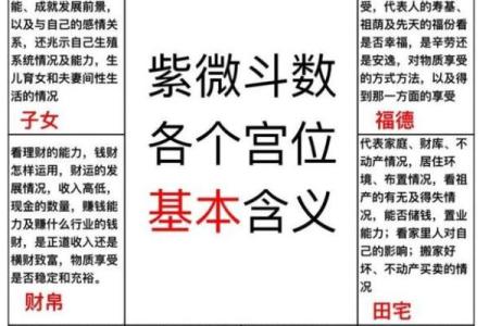 紫薇斗数星男女