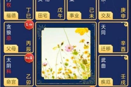 紫薇斗数三合局