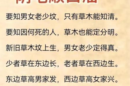 大富贵坟地风水顺口溜