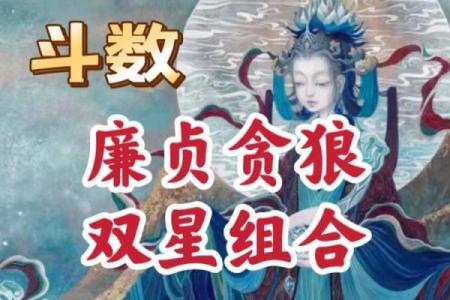 紫薇斗数解读，廉贞贪狼性格解读