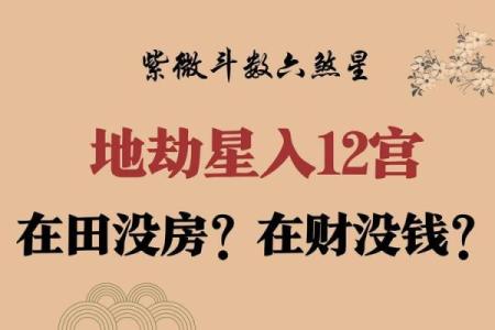 紫薇斗数紫薇在田宅