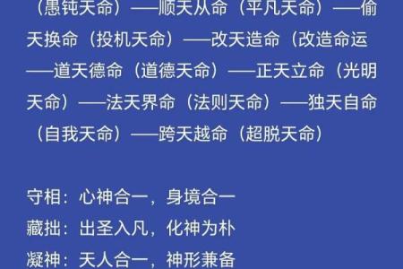 命运测试算命免费,怎样测算自己的命运