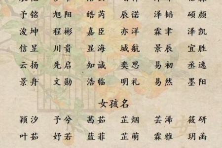 算八字起名