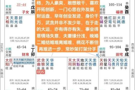 紫薇命盘详解免费版