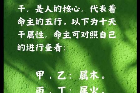生辰八字评论