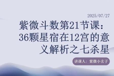 紫薇星七杀星在命宫