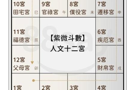 如何看懂自己的命盘十二宫,星盘12宫位代表含义