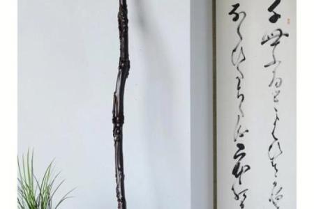 风水学中的“截杖”指的是什么