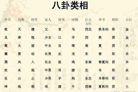 梅花易数怎么测出人的生辰八字