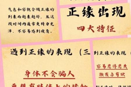 算命的说我烂桃花特别多  算命说的烂桃花是什么意思