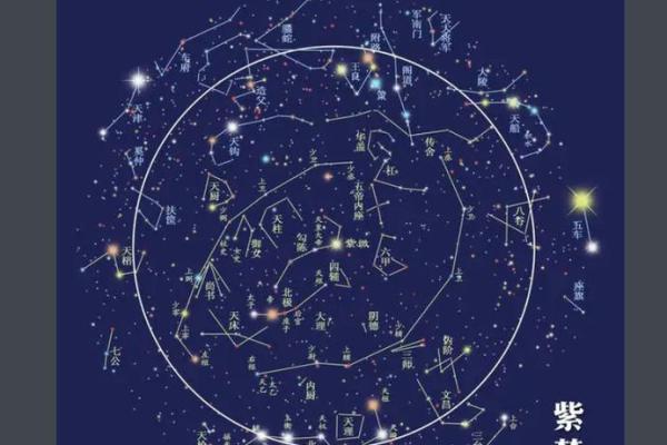 紫薇斗数紫薇梦