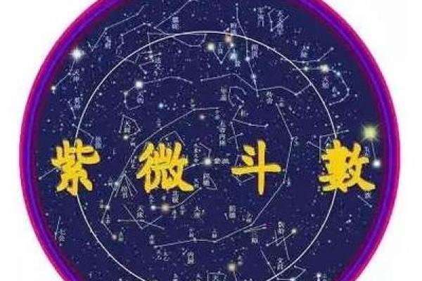 紫薇斗数中国网