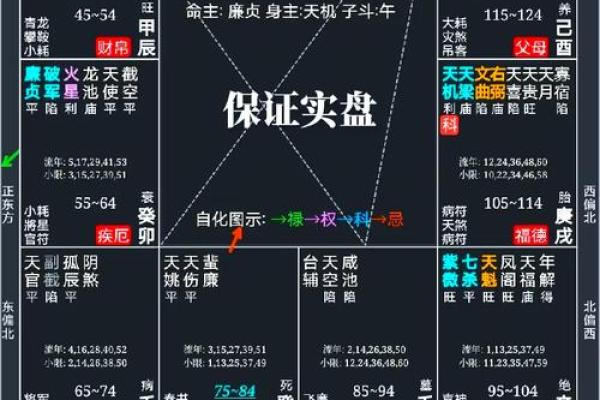 紫薇斗数中国网