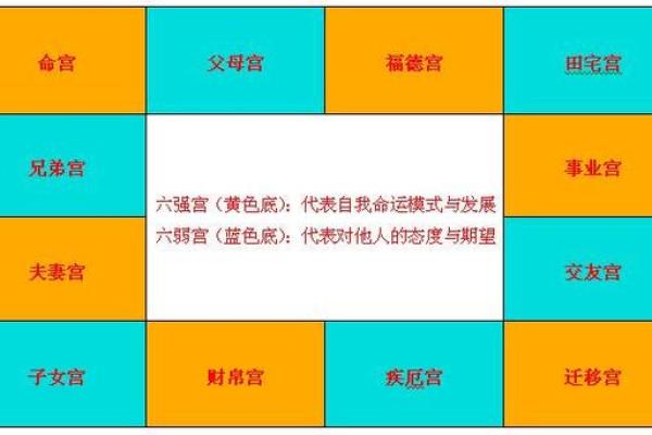 紫薇斗数子午宫