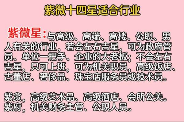 尘封先生紫薇斗数