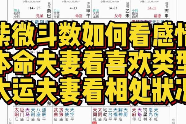 紫微斗数看姻缘感情