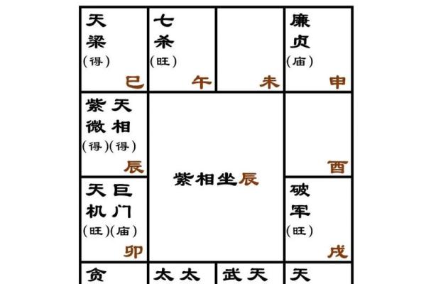 怎么推算紫薇斗数
