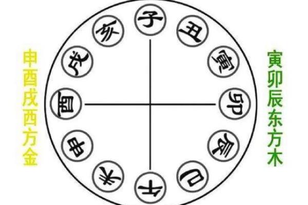 八字地支三会是怎么应用的？