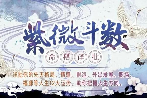 出轨的紫薇斗数