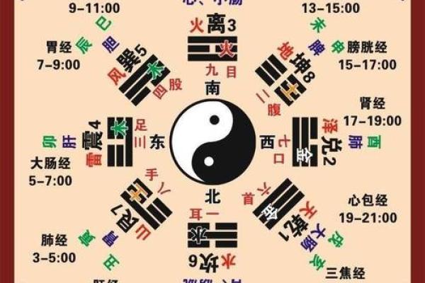 八字基础：五行旺相休囚死