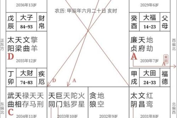紫微斗数之十二宫分属阴阳