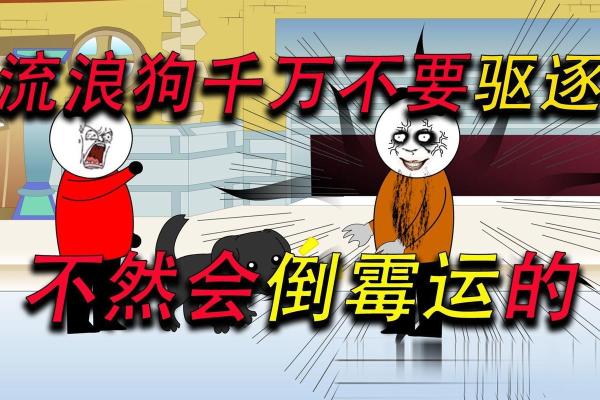 找了好风水，为什么还是会倒霉