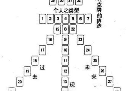 那种算命的牌叫什么