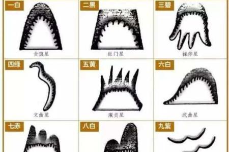 风水入门口诀，不收藏可不好找