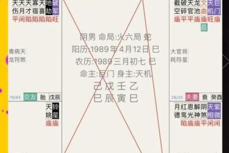八字太阳天梁是什么意思,太阳天梁性格