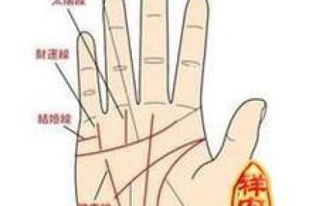 看手相算命：第四课 论事业命运