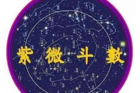 紫薇斗数中国网