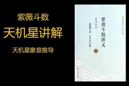天机紫微斗数app 天机紫微斗数app下载？