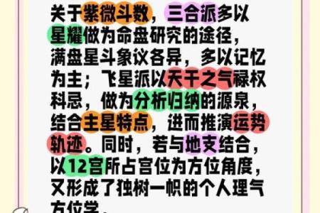 意象紫薇斗数
