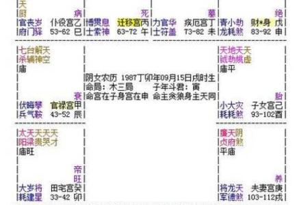 银行紫微斗数 紫微斗数经典格局？