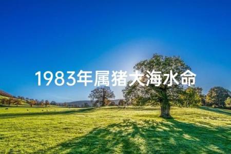 八字大海水命