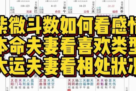 紫微斗数看姻缘感情