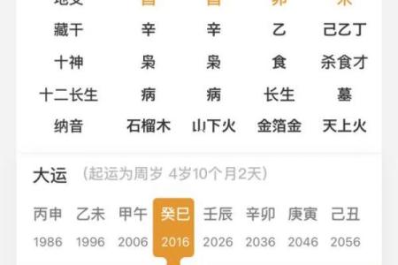 免费取名八字命盘大全，专业八字取名服务，准确分析命盘特点！