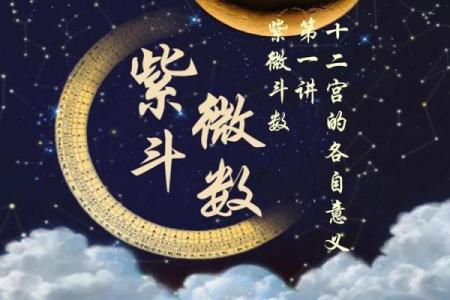 令东来紫薇斗数