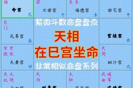 紫微斗数之福德宫在巳宫，是什么意思？