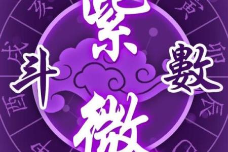 情商高的紫薇斗数