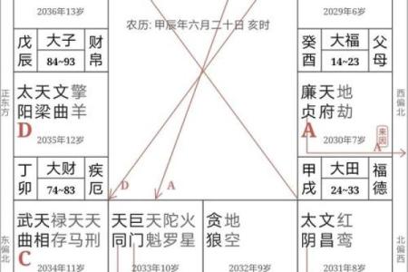 紫微斗数之十二宫分属阴阳