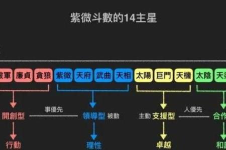 紫薇斗数测算婚姻运：幸运紫薇主星，超有婆婆缘