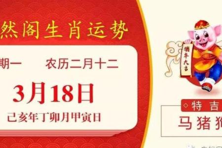 生肖算命软件