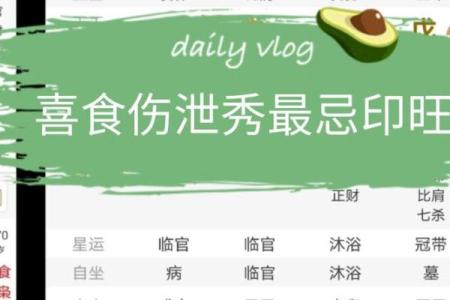 八字食伤的查法