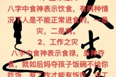 八字-食神总论